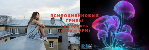 стаф Алзамай