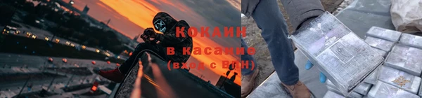 стаф Алзамай