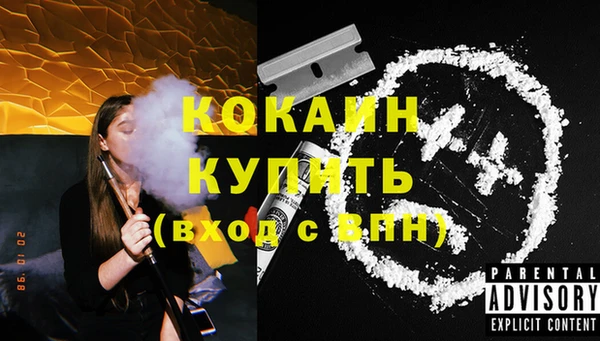 стаф Алзамай