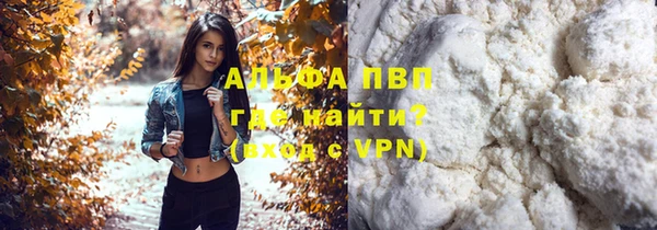 стаф Алзамай