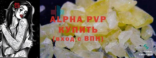 стаф Алзамай