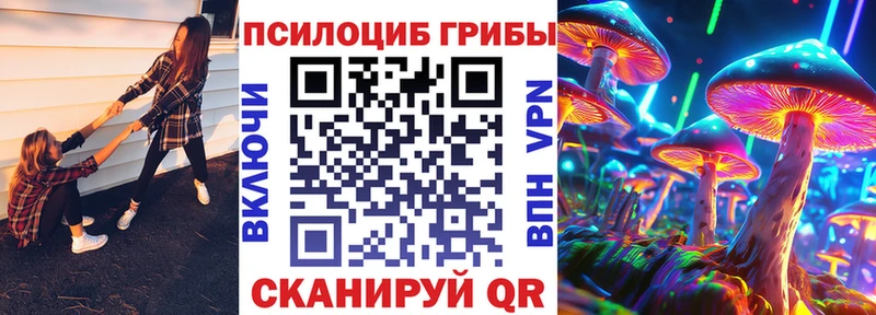 Галлюциногенные грибы GOLDEN TEACHER  как найти наркотики  дарк нет клад  Злынка 